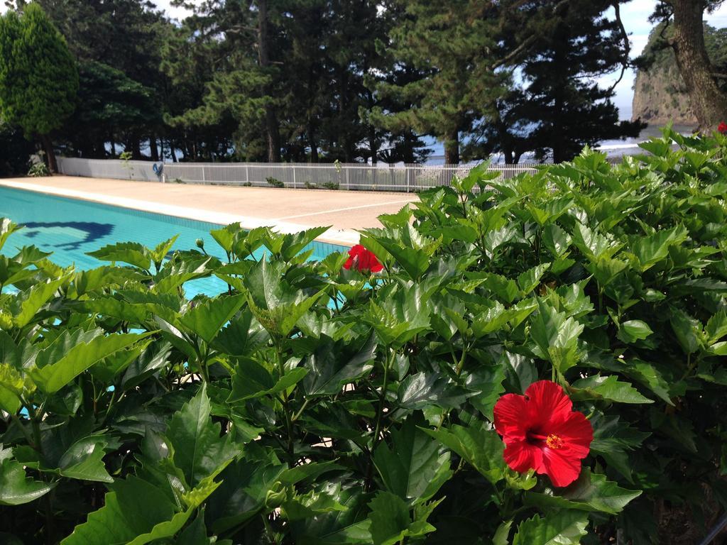 Dogashima Onsen Hotel Nishiizu Εξωτερικό φωτογραφία