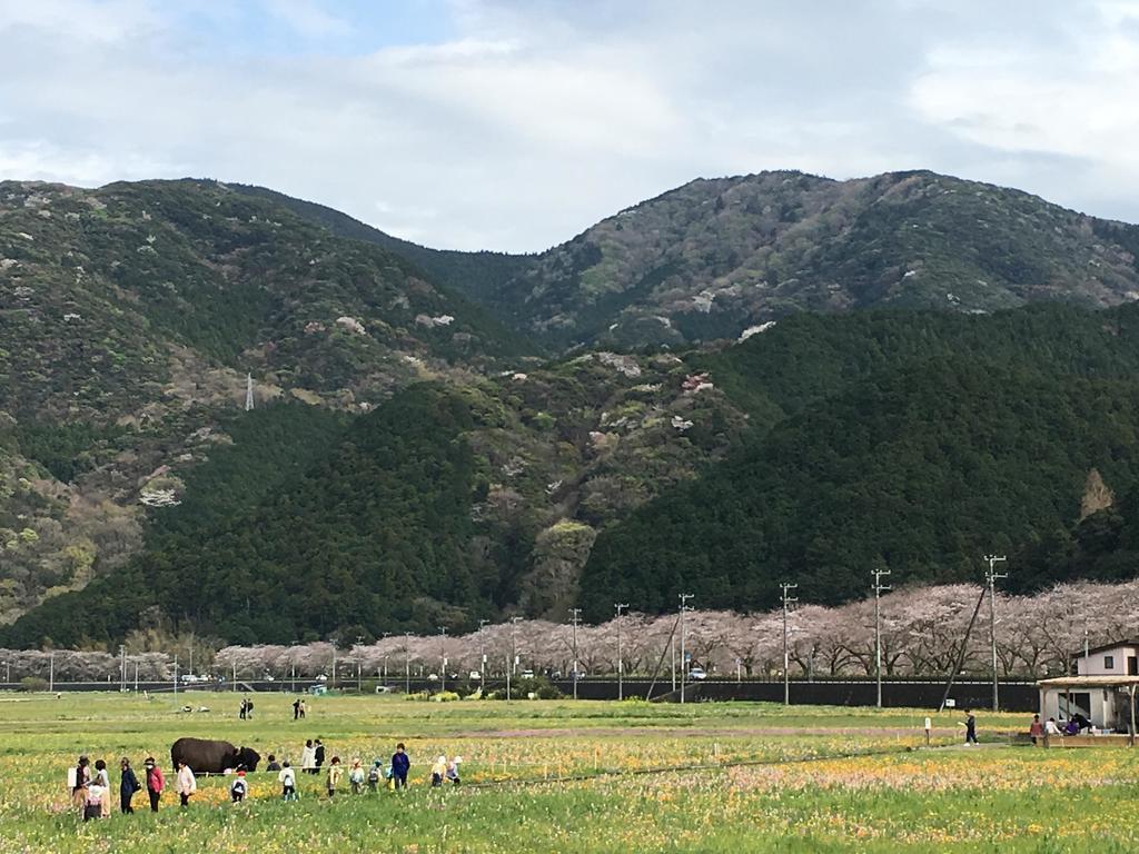 Dogashima Onsen Hotel Nishiizu Εξωτερικό φωτογραφία