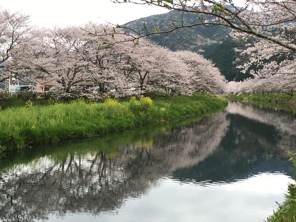 Dogashima Onsen Hotel Nishiizu Εξωτερικό φωτογραφία