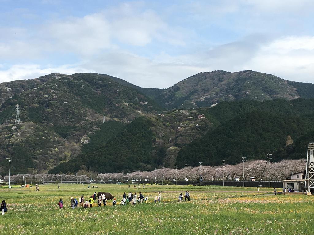 Dogashima Onsen Hotel Nishiizu Εξωτερικό φωτογραφία