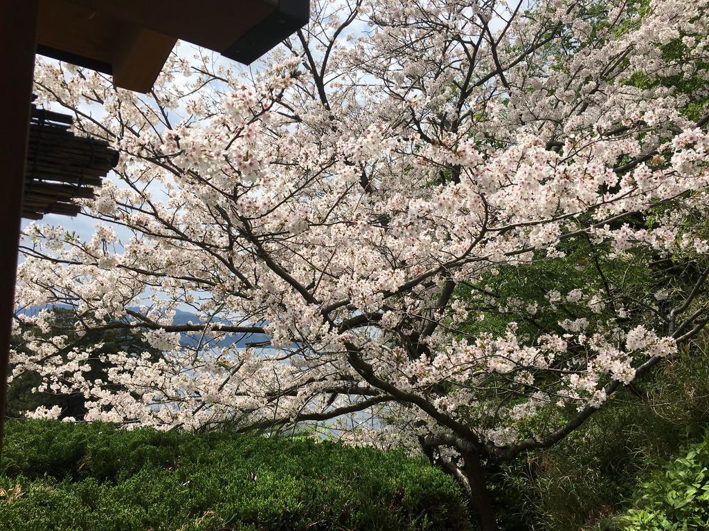 Dogashima Onsen Hotel Nishiizu Εξωτερικό φωτογραφία