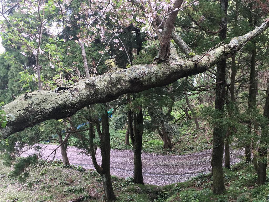 Dogashima Onsen Hotel Nishiizu Εξωτερικό φωτογραφία