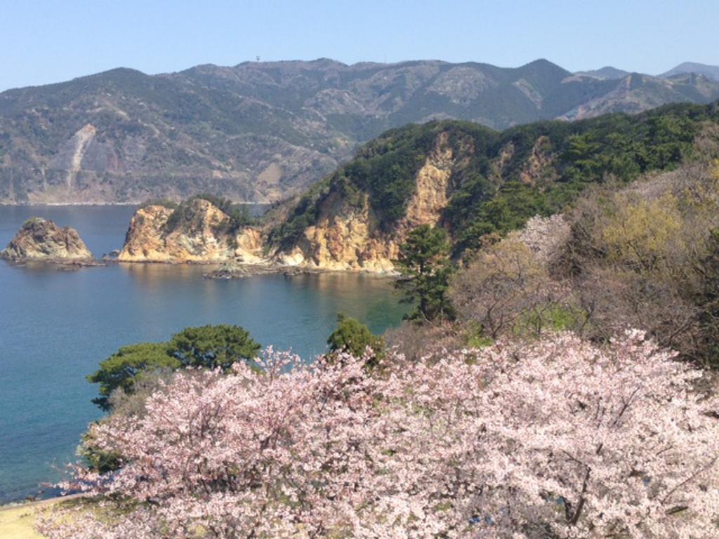 Dogashima Onsen Hotel Nishiizu Εξωτερικό φωτογραφία