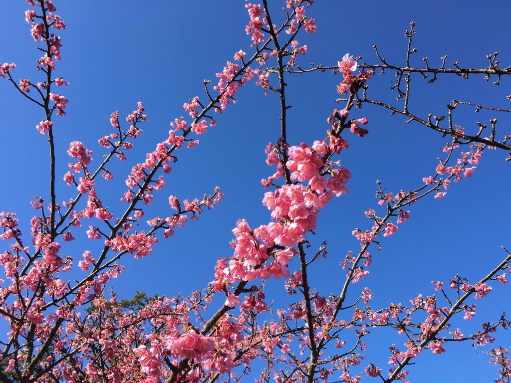 Dogashima Onsen Hotel Nishiizu Εξωτερικό φωτογραφία