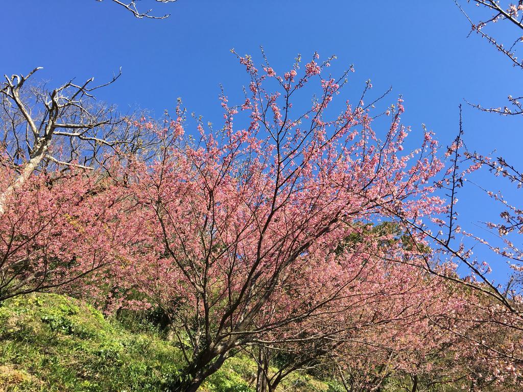Dogashima Onsen Hotel Nishiizu Εξωτερικό φωτογραφία